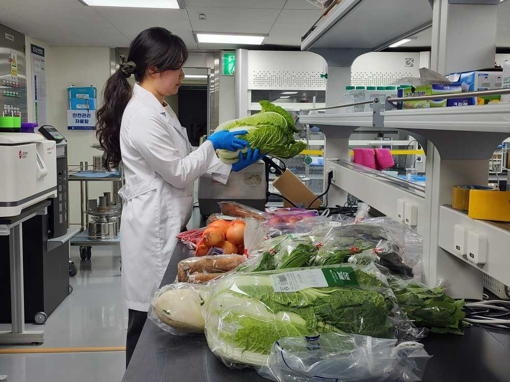 광주보건환경연구원은 이달부터 12월 중순까지 로컬푸드, 대형마트, 도매시장에서 유통되는 배추·무·양파·갓·마늘 등 100여건에 대해 잔류농약 345개 항목을 검사한다.