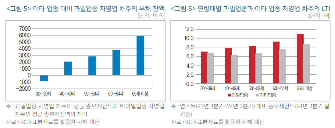 한국금융연구원 ‘고령층 자영업 차주의 부채 현황과 시사점’ 보고서 발췌.