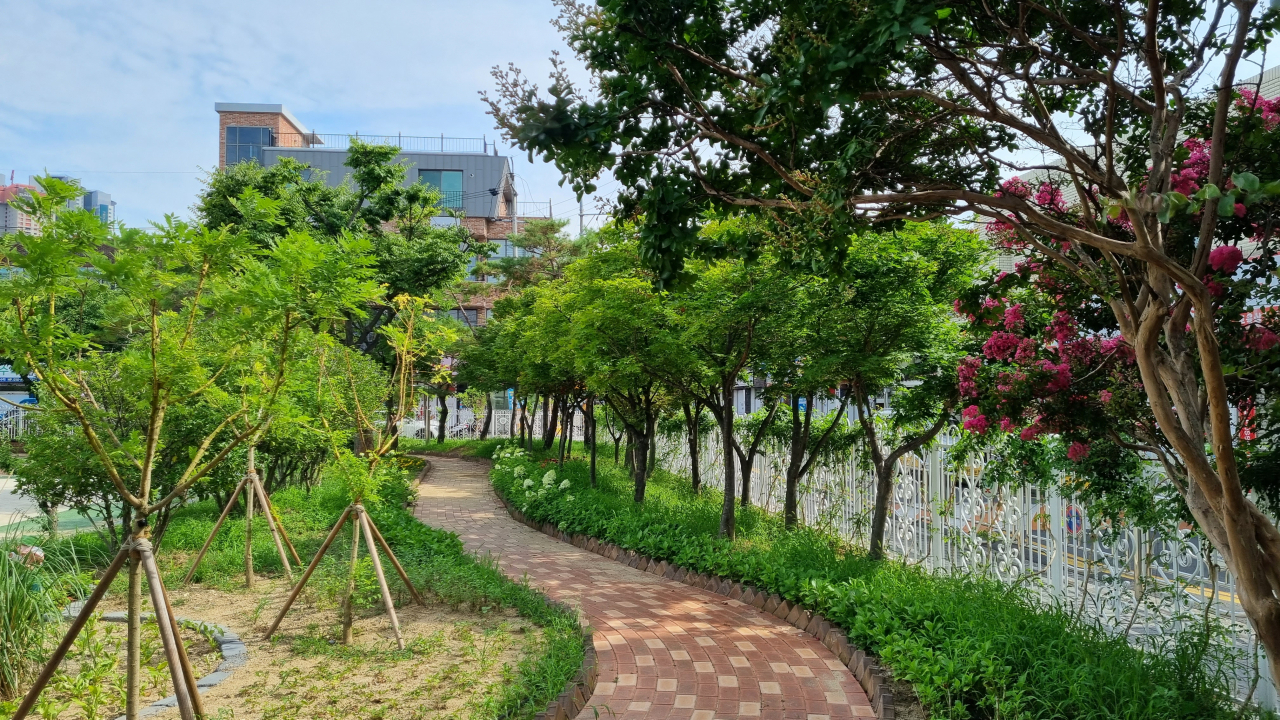 산림청 주관 2024년 우수 학교숲 조성분야 최우수에 선정된 대구 수성 황금초등학교.