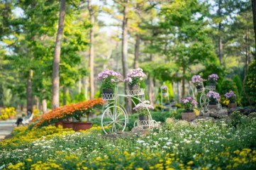 [Travel Bits] Festivals, sights across Korea