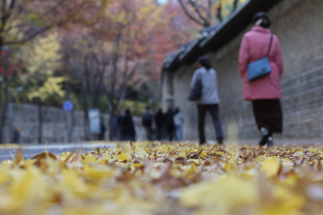 가을에서 겨울로 가는 풍경