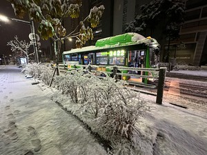 [속보]서울 폭설 적설량 20㎝ 육박…강북 19.1cm·성북 19cm