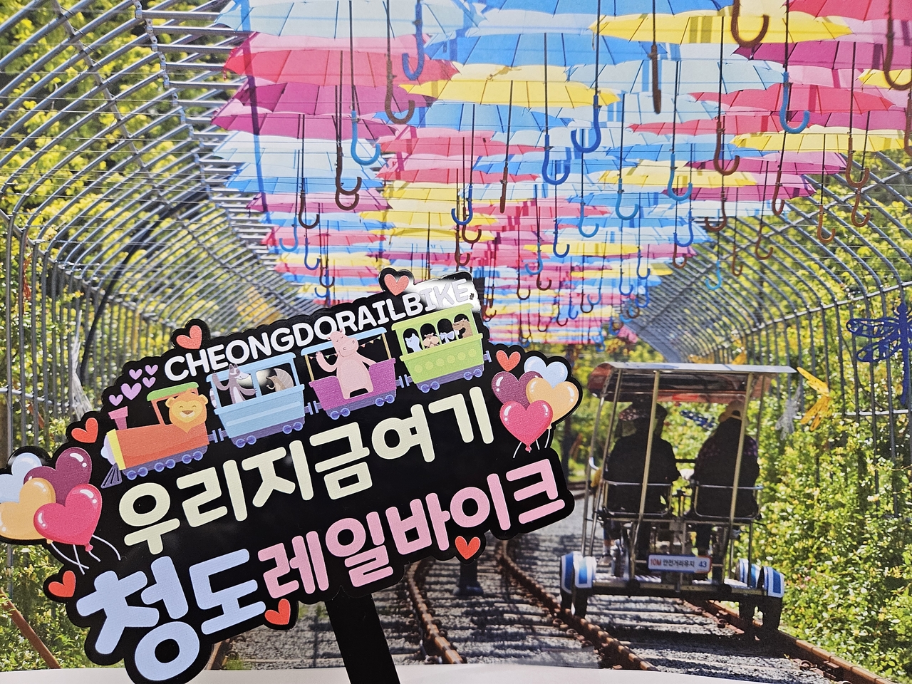 [청도군 제공]