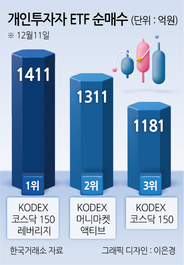 개인투자자 etf 순매수