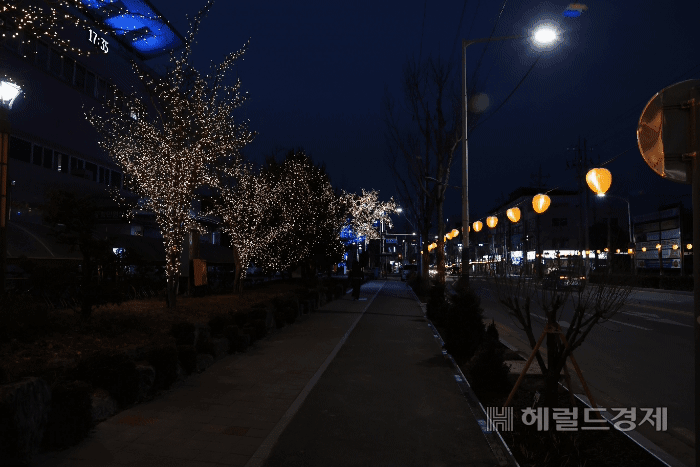 곶감 조명등 점등식