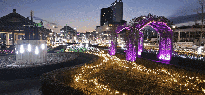 영일대 LED 장미원 (포항시제공)