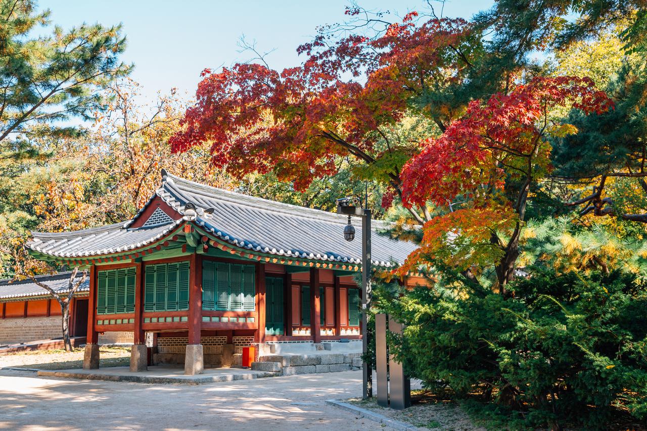 Jongmyo Shrine with autumn maple in Seoul (Getty Images)