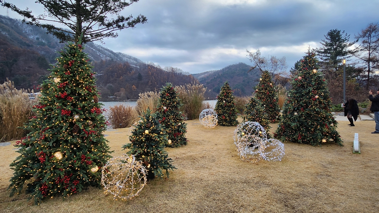 Golden Tree (Lee Jung-youn/The Korea Herald)