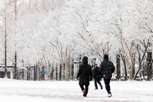 [Photo News] City covered in snow