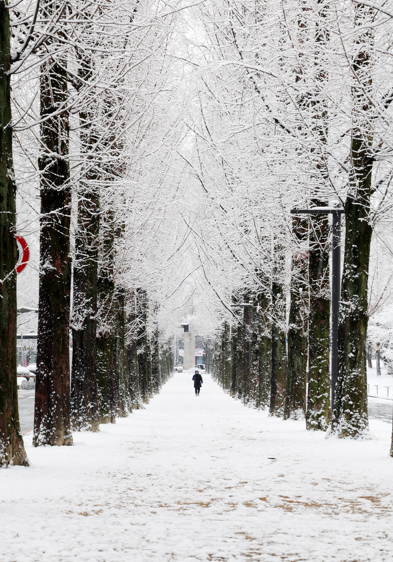 People are taking a walk on a snow-covered trail at the Chonnam National University in Gwangju on Saturday. (Yonhap)