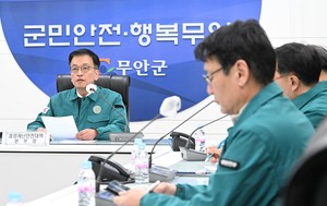 Acting president announces weeklong national mourning period over Muan plane crash