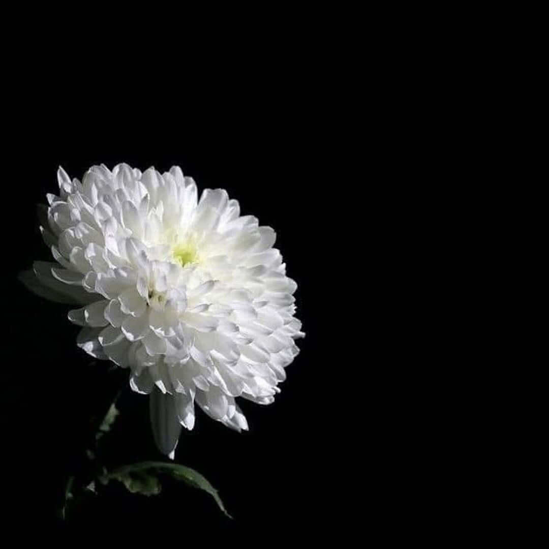 사진=이승환 SNS