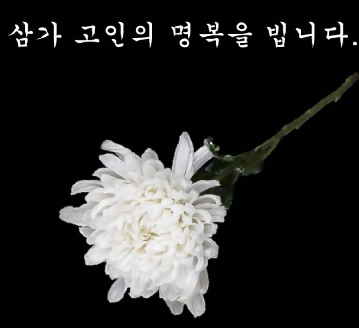 박나래 채널
