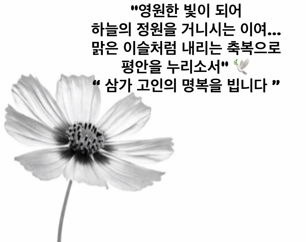 사진=슈 SNS