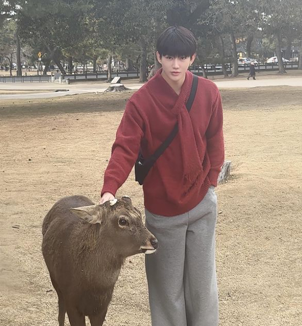 진화 채널
