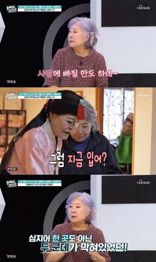 TV조선 ‘퍼펙트 라이프’ 캡처