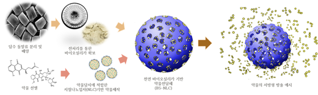 약물 담지 및 약물 방출의 예시[국립낙동강생물자원관 자료]