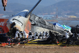 Jeju Air crash prompts concerns over aircraft maintenance amid heavy reliance on overseas