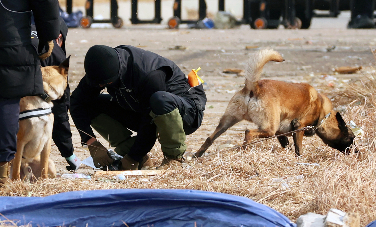 Police officials and police dogs search the site of the deadly plane crash at the Muan International Airport in South Jeolla Province on Monday. (Yonhap)