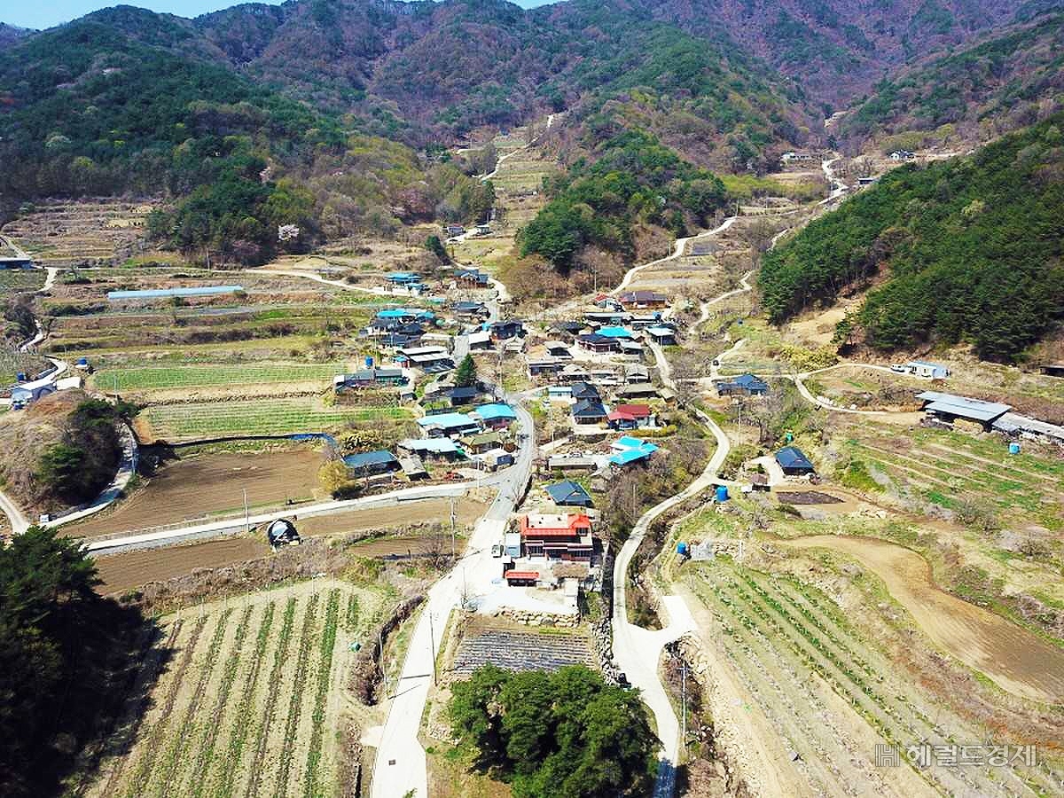 예천군 은풍면 동사리 은풍준시 마을