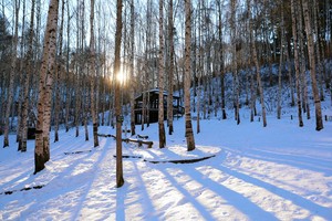 Sunlight in the winter