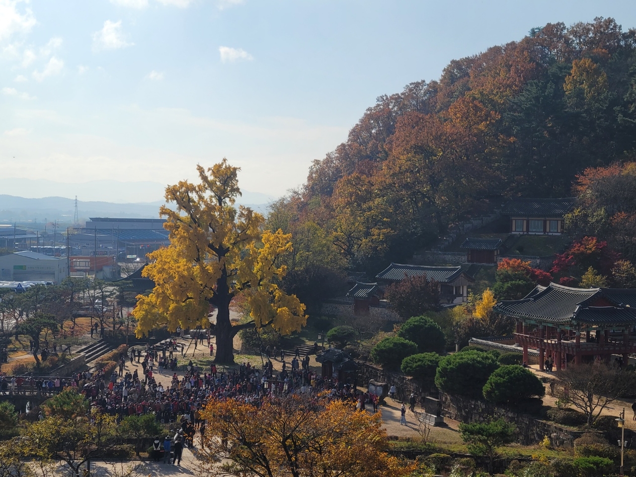 임고서원 전경.[영천시 제공]