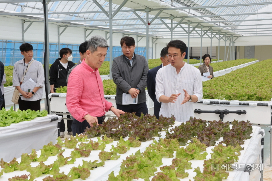 이강덕 슬롯 머신 프로그램장이 지난해 기계면에 위치한 상추 분무수경재배 현장을 찾아 시설을 둘러보고 있다(슬롯 머신 프로그램 제공)