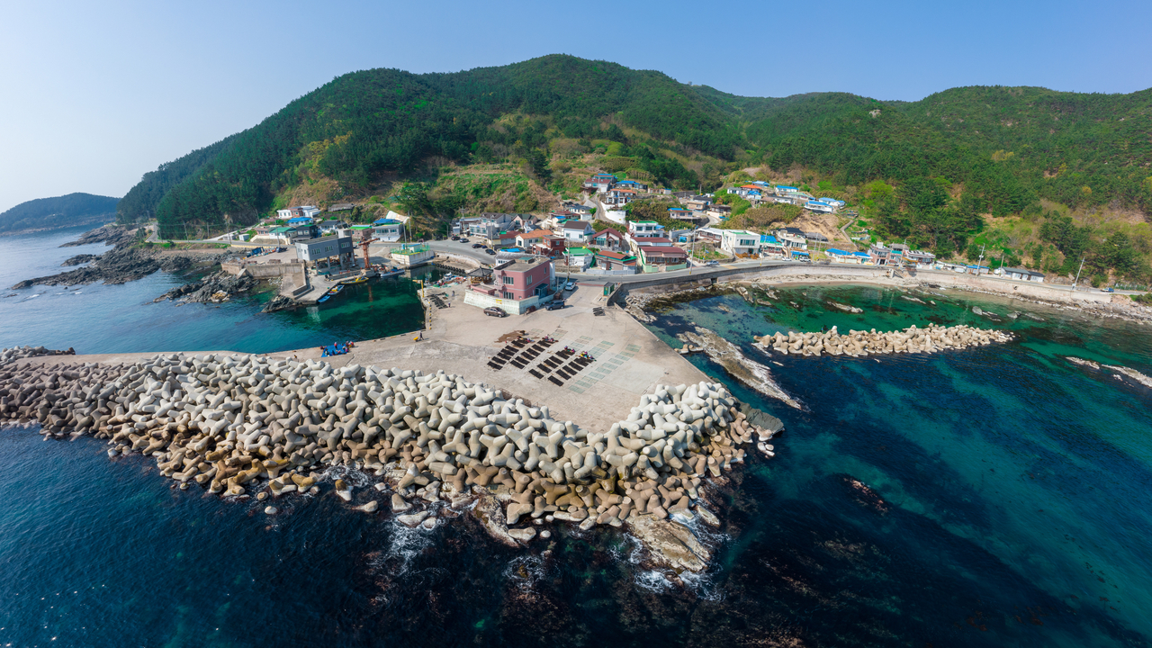 [영덕군 제공]
