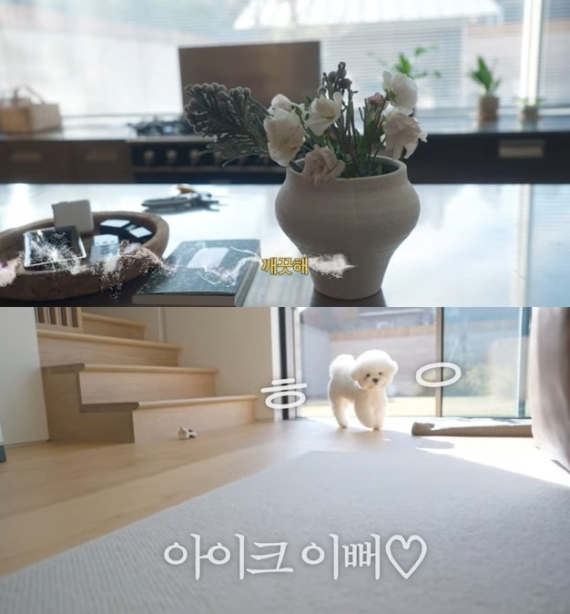 강민경 유튜브 캡처