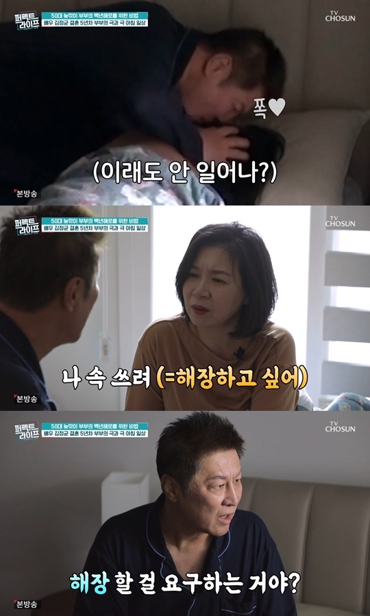 TV조선 ‘퍼펙트라이프’ 캡처