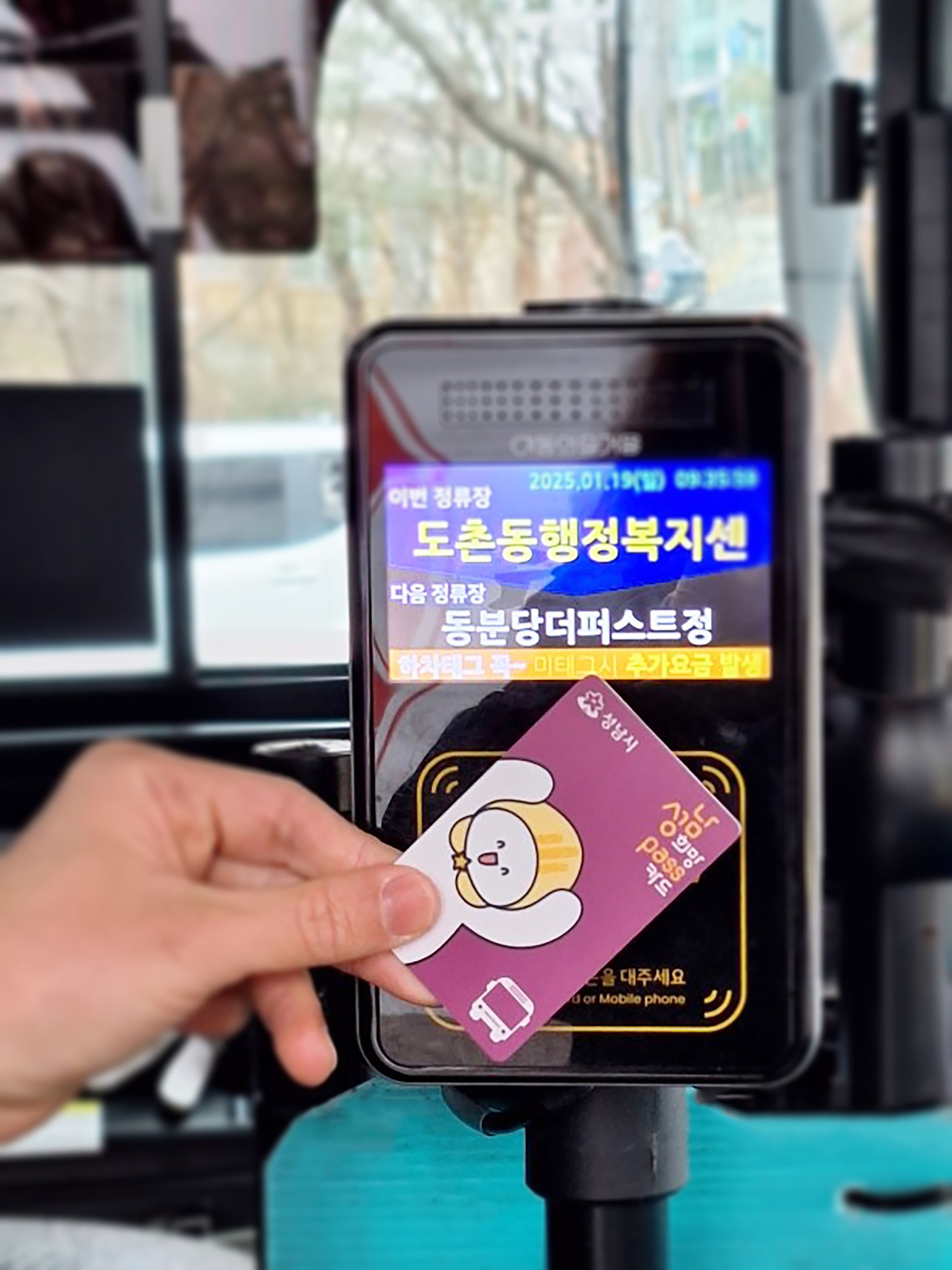 [성남시 제공]