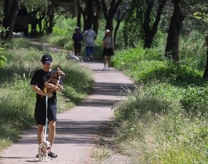 Seoul extends pet-friendly Cheonggye Stream pilot program