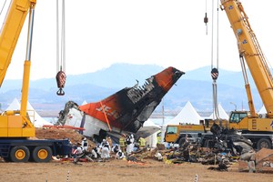 Bird strikes in both engines, mayday call made 6 secs after black box stopped: gov't