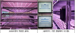 농진청 기술이전 연간 1300건…특용작물 육묘 수직농장 주목