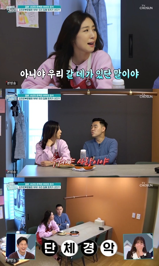 TV조선 ‘퍼펙트 라이프’ 캡처