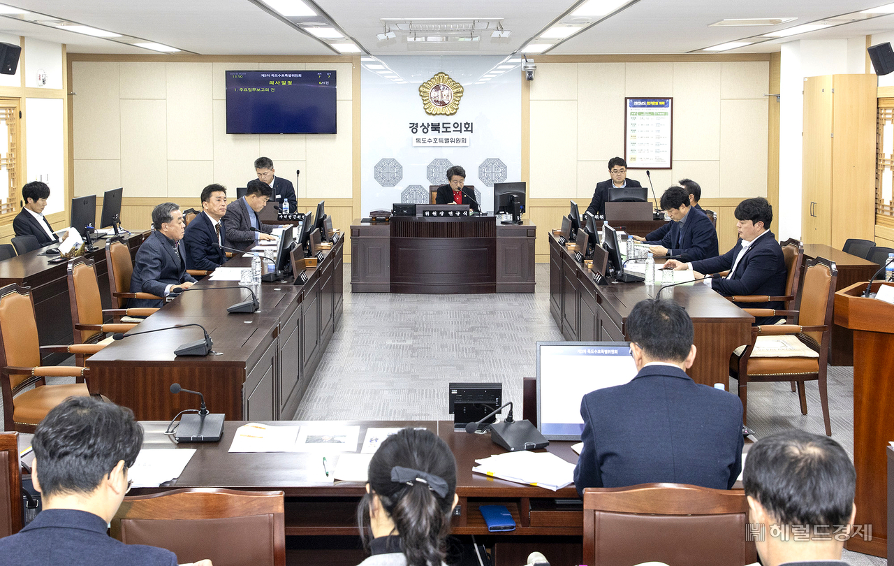 경상북도의회 독도 수호특별위원회가 해양수산국과 독도재단으로 부토 2025년 주요 업무 보고를 받고 있다.(경북도의회 제공)