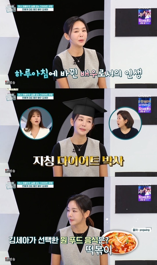 TV조선 ‘퍼펙트 라이프’ 캡처