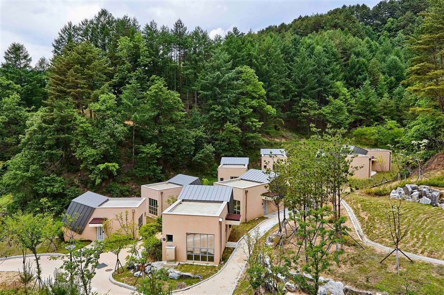 울진 굼강송에코리움 전경(울진군 제공)