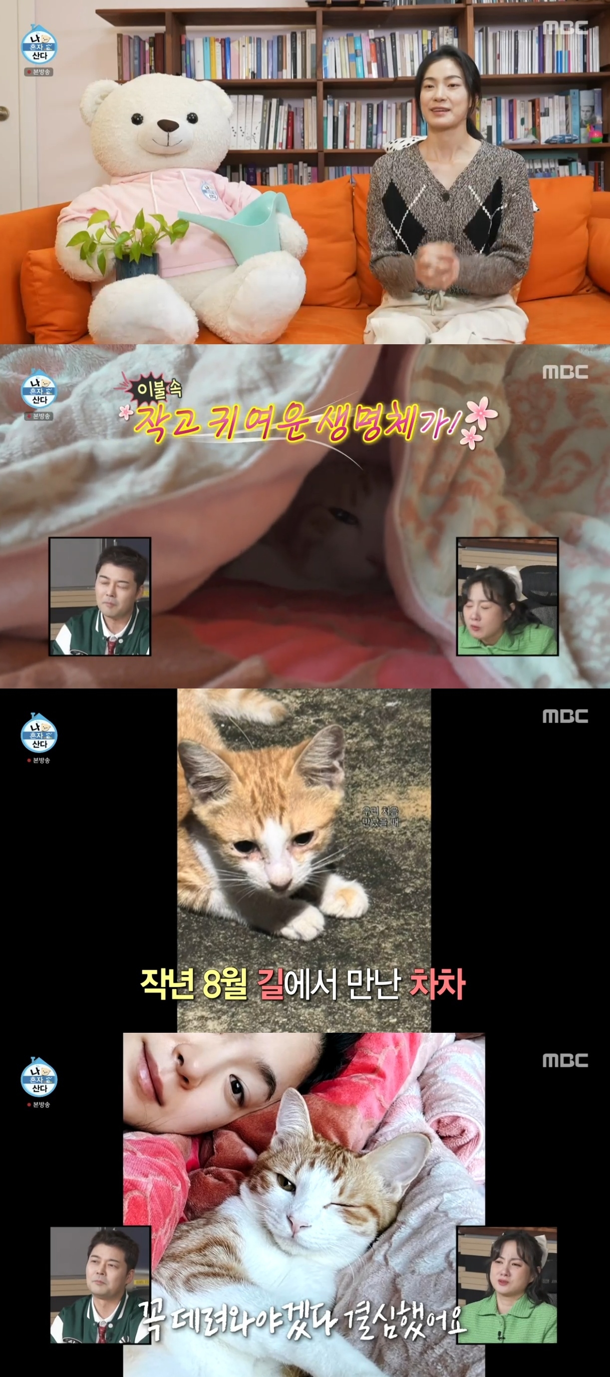 MBC ‘나혼자산다’ 캡처