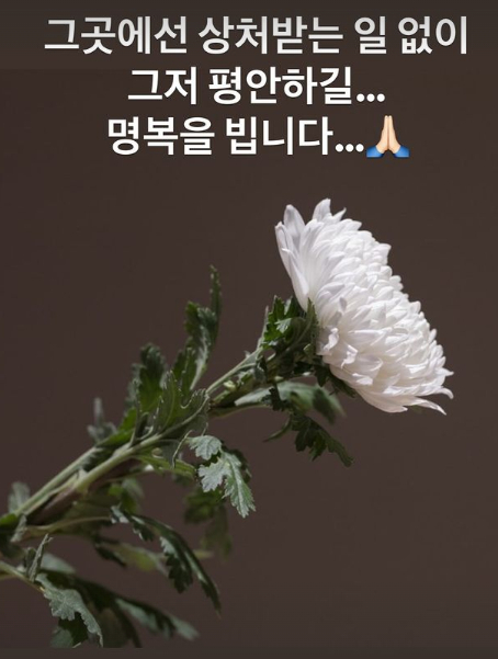 박슬기 채널