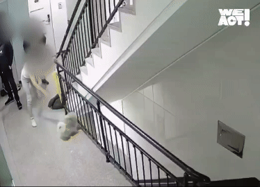 Surveillance footage appears to show the couple throwing the dog out of a corridor window, released by WeAct on Instagram on Feb. 14. (WeAct Instagram)