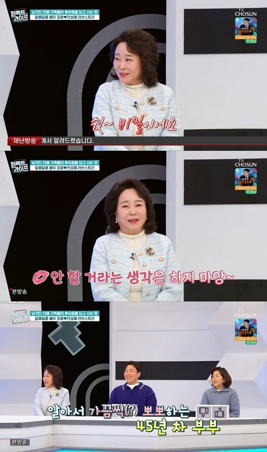 TV조선 ‘퍼펙트 라이프’ 캡처