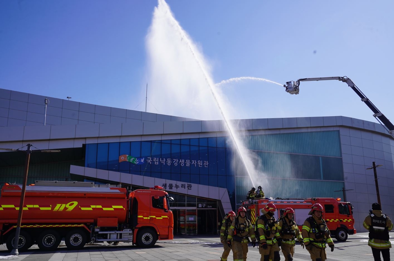 [국립낙동강생물자원관 제공]