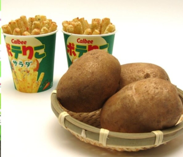 칼비 제품 [칼비 제공]