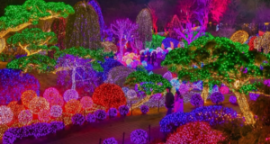 Festivals, sights across Korea