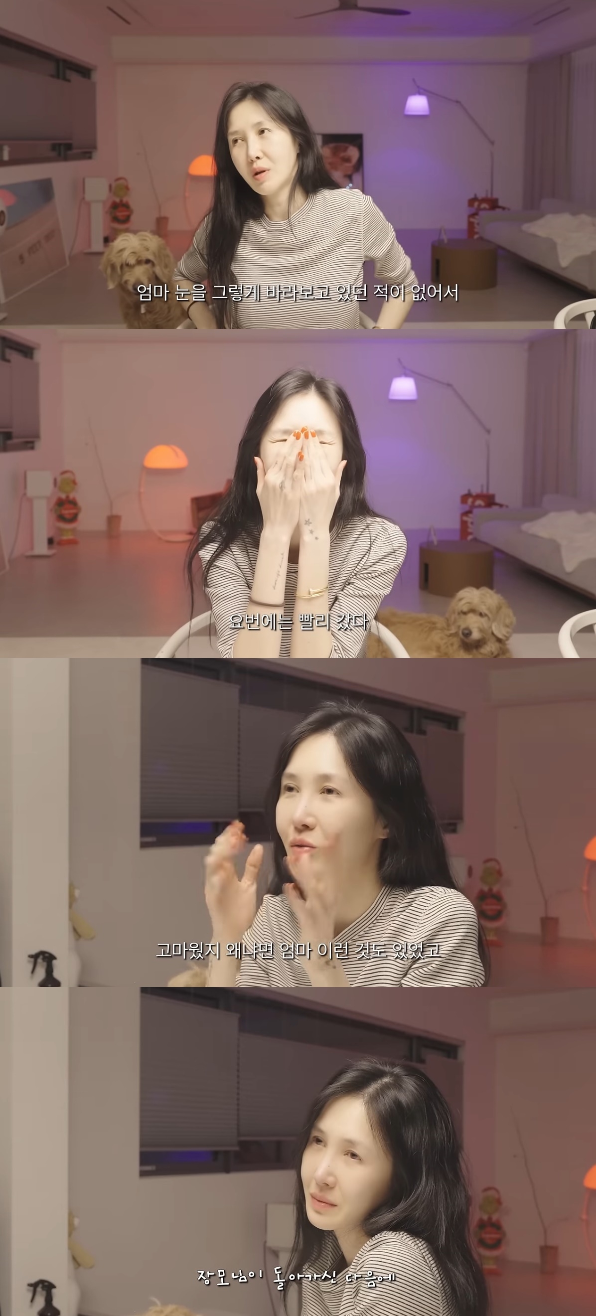 사진=유튜브 채널 ‘What see TV’ 캡처