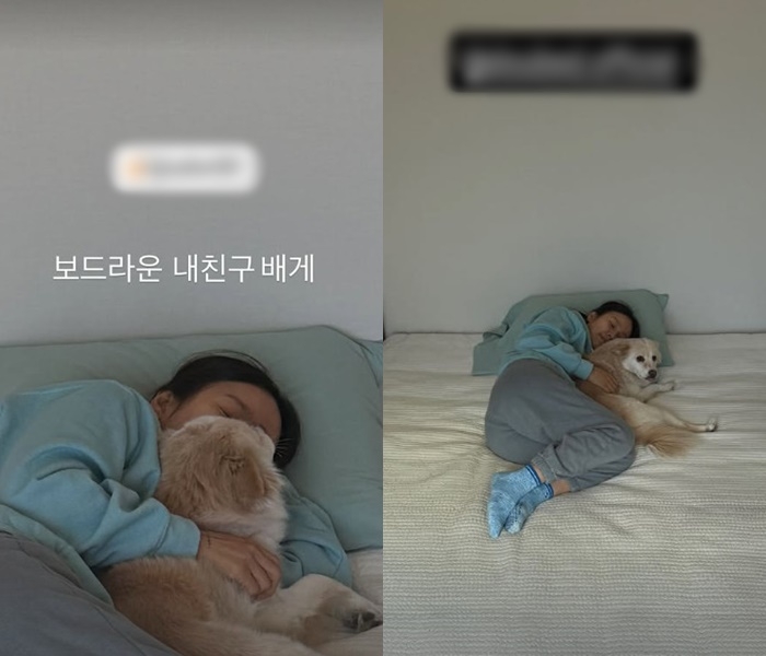 사진=이효리 채널