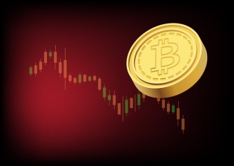 비트코인 9만8000달러대 반등…브라질, 세계 최초 리플 현물 ETF 승인 [투자360]