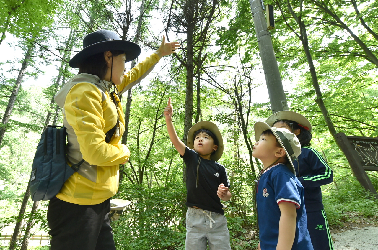 유아숲 체험원 운영.[청송군 제공]