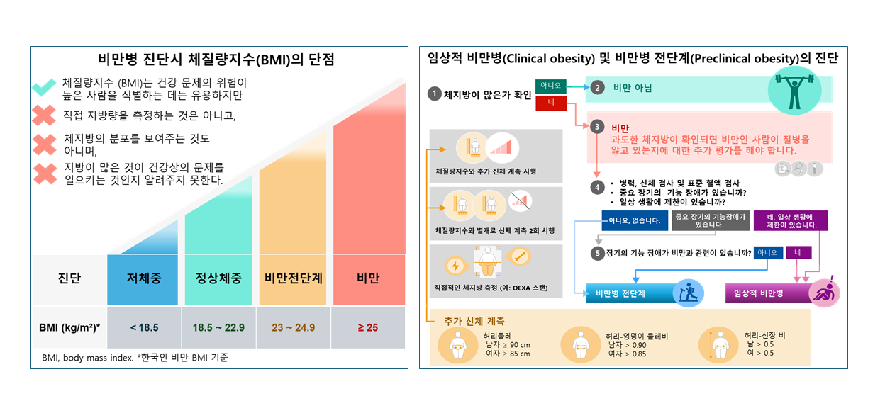 비만명 진단시 BMI 단점 및 임상적 비만병, 비만병 전단계의 진단